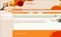 Web animation, web-related information template psd, html
